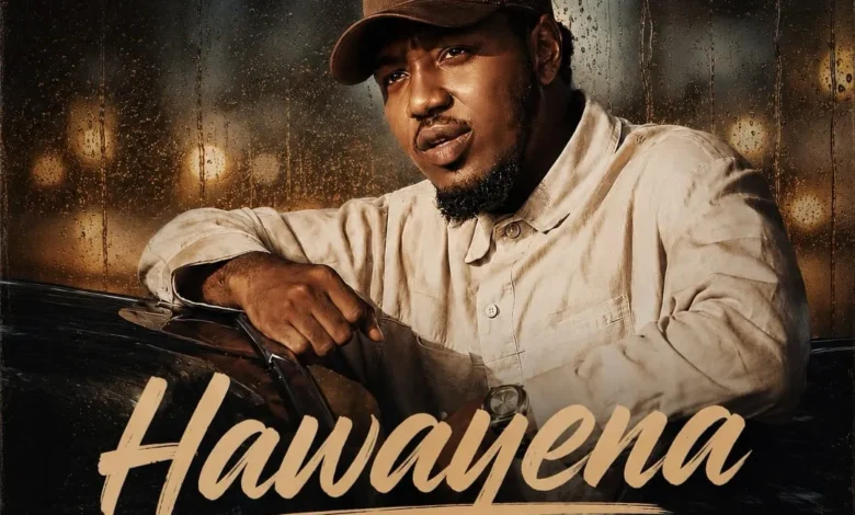 Ahmerdy Hawayena