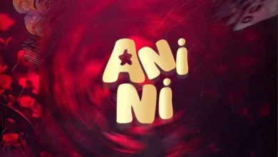 Umar MB ANINI