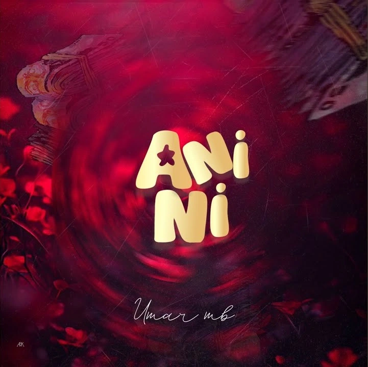 Umar MB ANINI