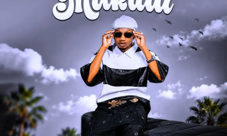 Aminu A.T.A Makulli