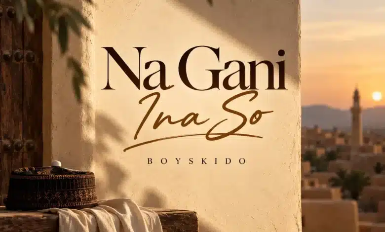 Boyskido Na Gani Ina So MP3 Download 2026